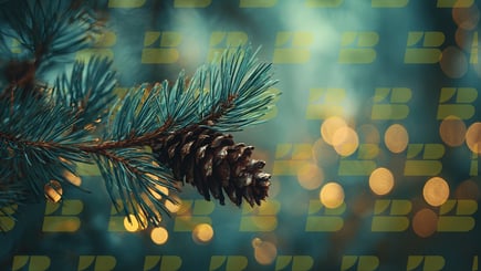 Pinecone_brown_company_logoMatt Brown reflects on the lessons of 2025, the importance of discipline and trust, and how The Brown Company is preparing for focused, responsible growth in 2026.